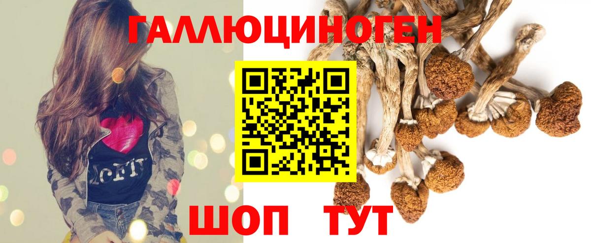 Псилоцибиновые грибы MAGIC MUSHROOMS Сыктывкар