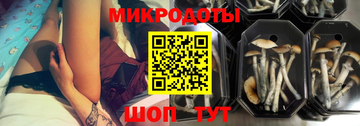 Галлюциногенные грибы мухоморы  цены   Сыктывкар  Вход с VPN 